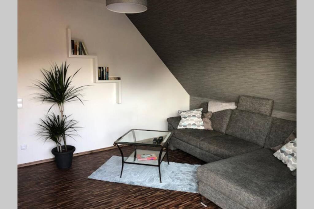 Hildegard Apartment *